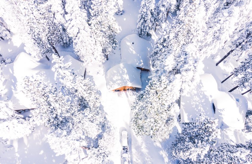 DAVOS: VERDE em meio à neve